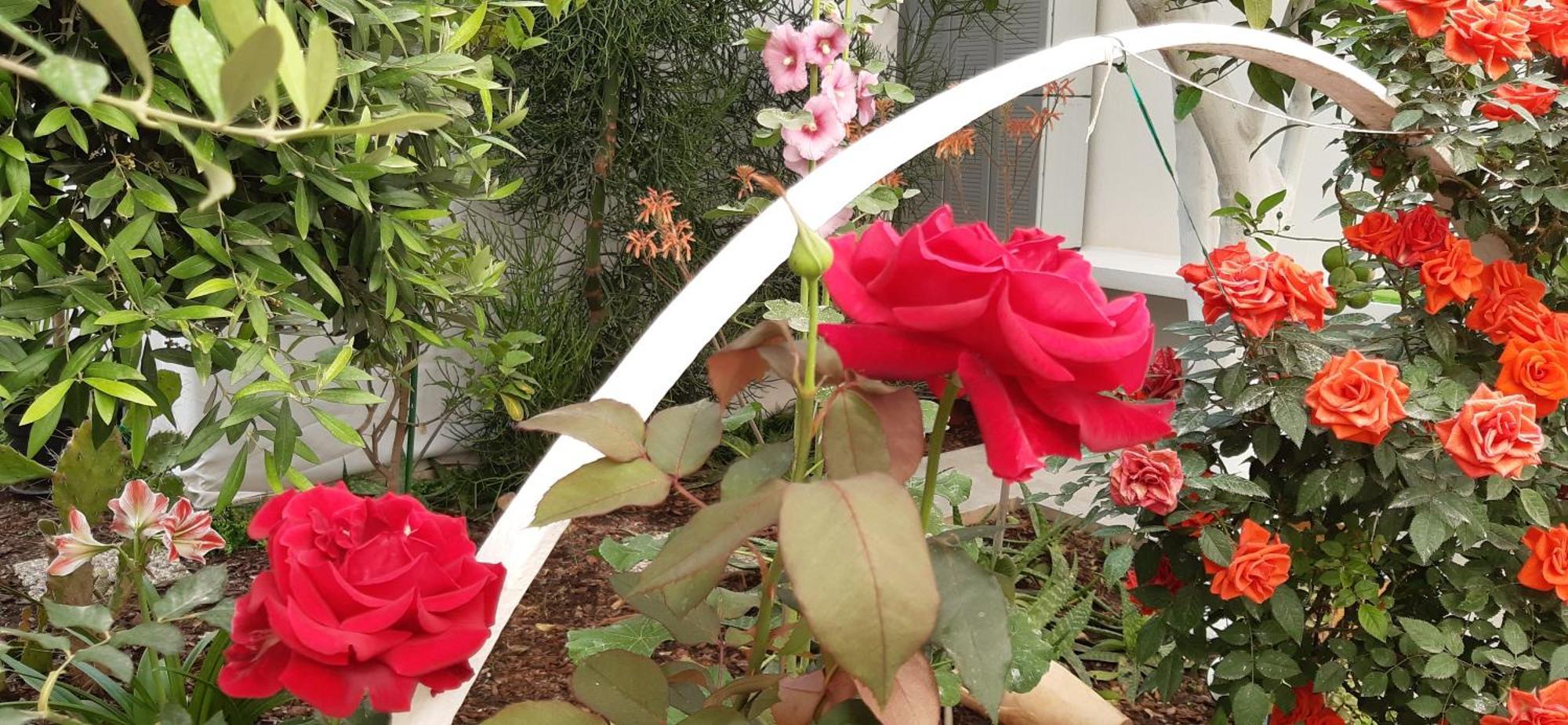 לינה וארוחת בוקר סן ויטו לו קאפו Patio 101 "Exclusive" מראה חיצוני תמונה
